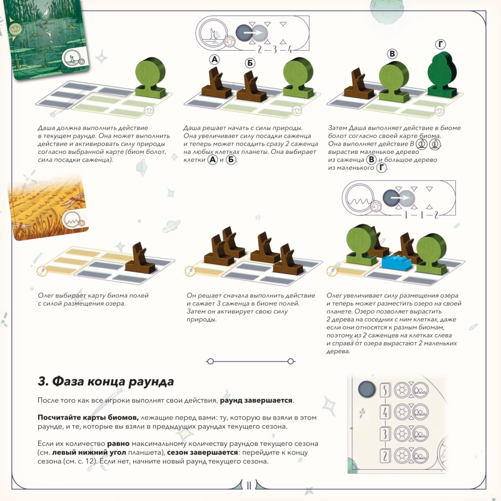Настольная игра - Evergreen. Зелёный мир